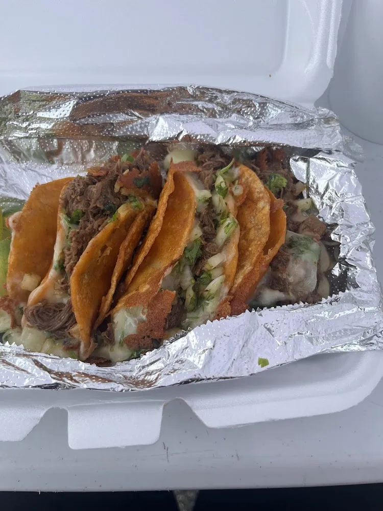 Al Pastor and Barbacoa Tacos on Flour Tortillas